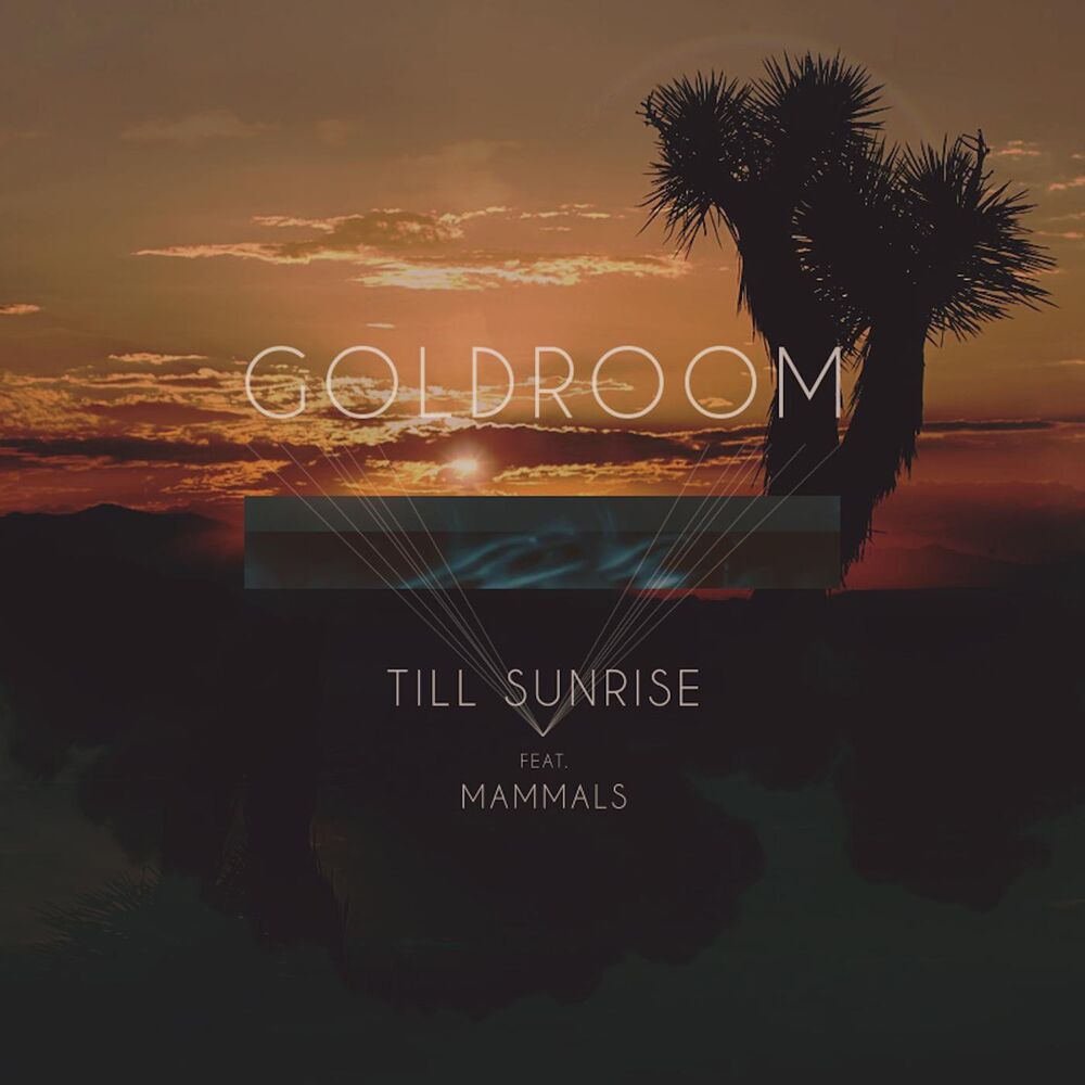 Picture of Till Sunrise (feat. Mammals)