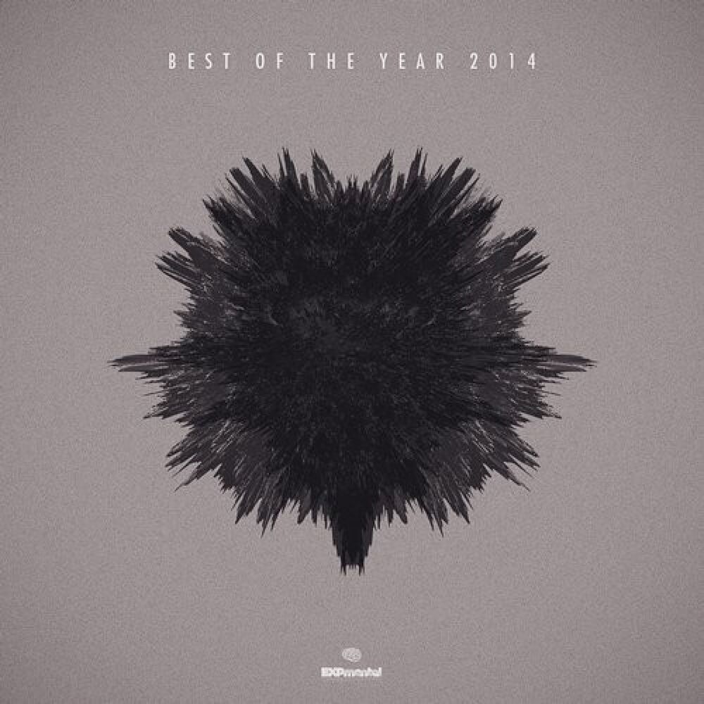 Picture of Best Of The Year 2014