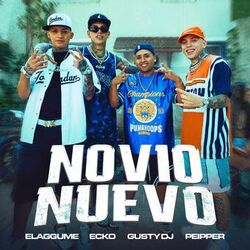 Cover of Novio Nuevo