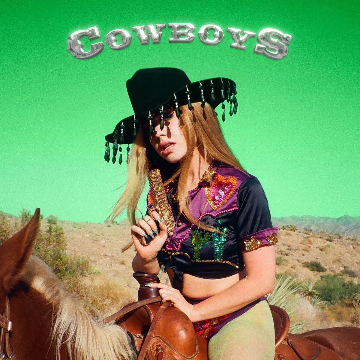Album cover of Cowboys