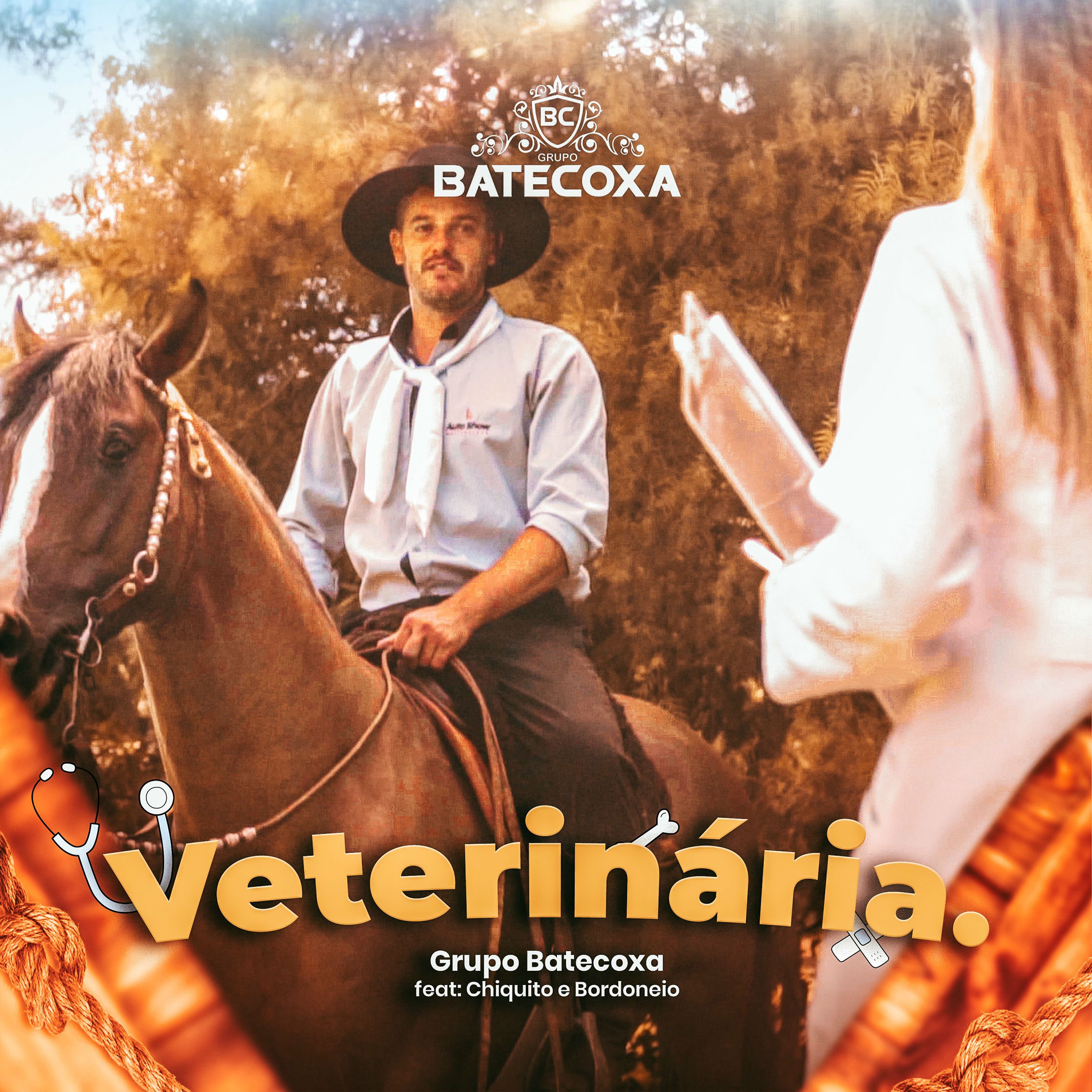 Album cover of Veterinária