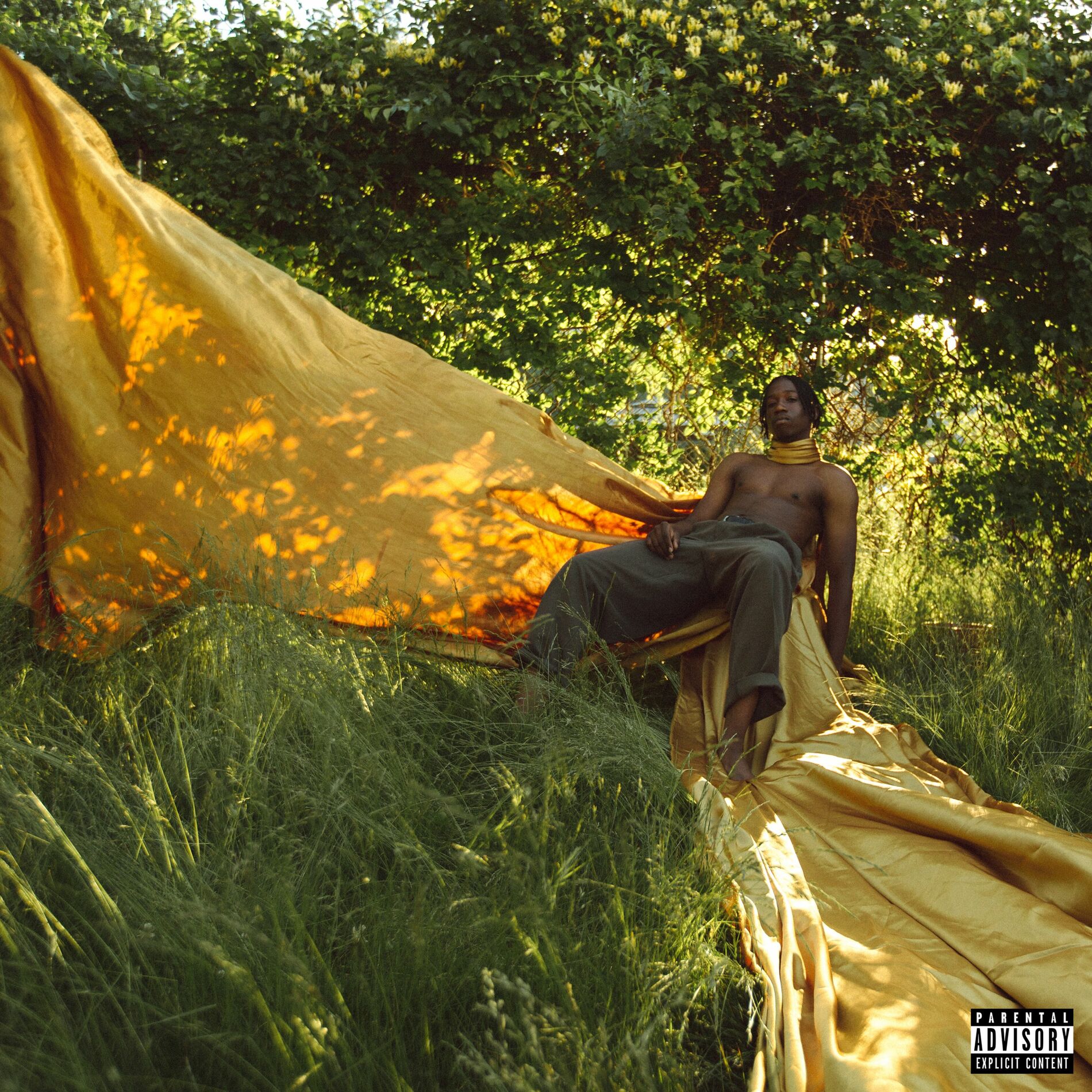 Album cover of REBORN