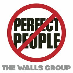 Cover of Perfect People