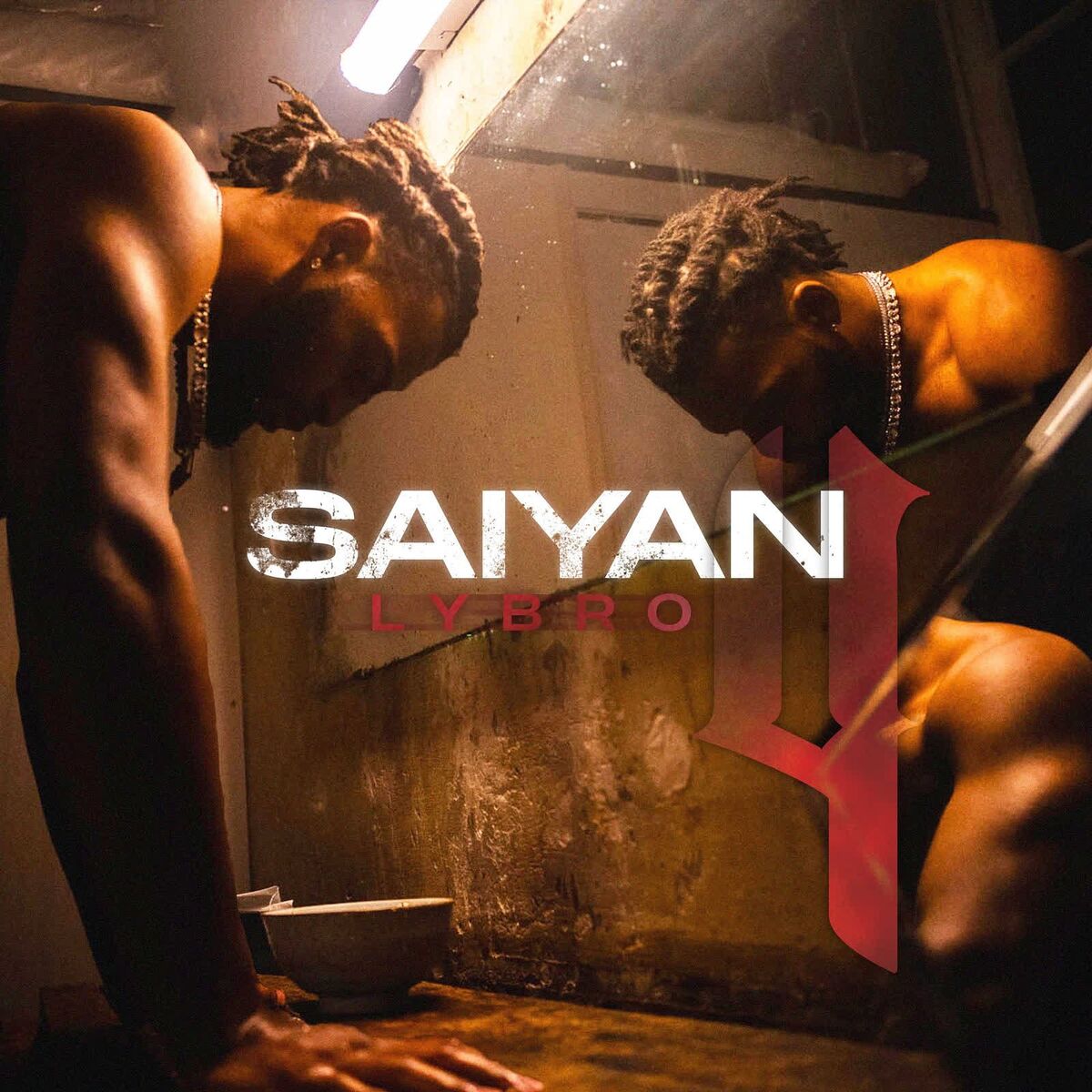 Album cover of Saiyan 4