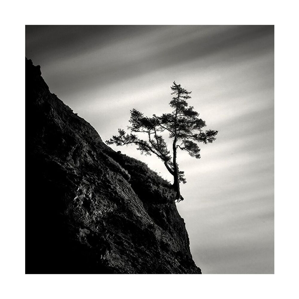 Picture of Peace for Five, Pt. 1