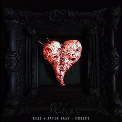 Cover of Embers