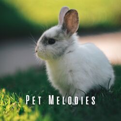 Cover of Pet Melodies: Calming Lofi and Chill Music