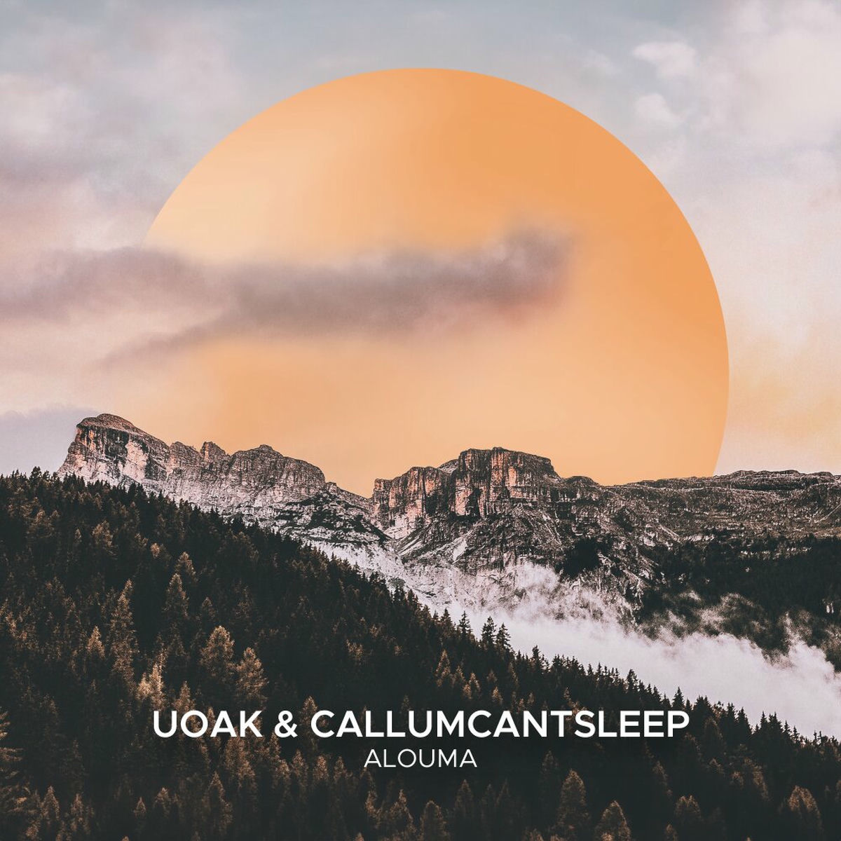 Album cover of Alouma