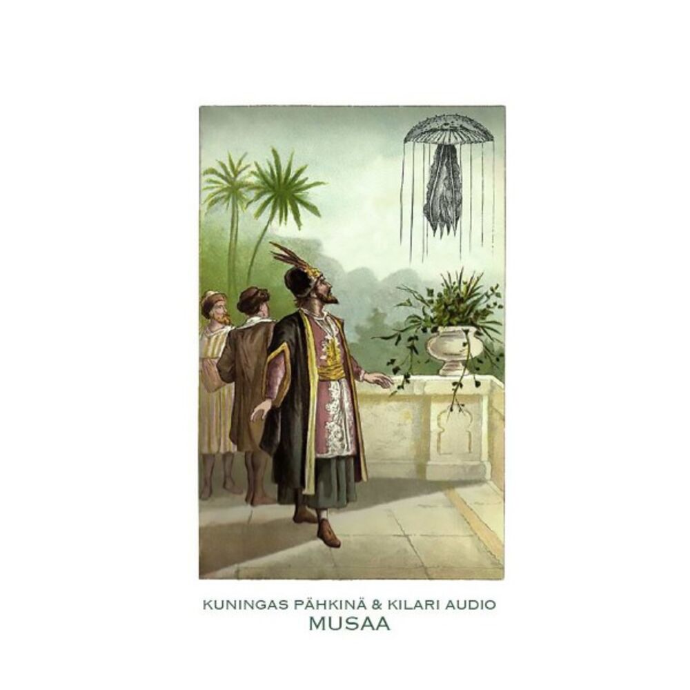 Picture of Musaa (Kadonneet kovalevyt osa II)