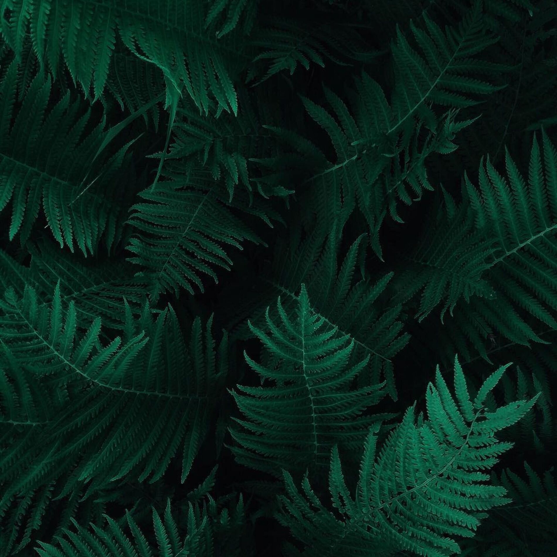 Album cover of Sounds of the Ocean