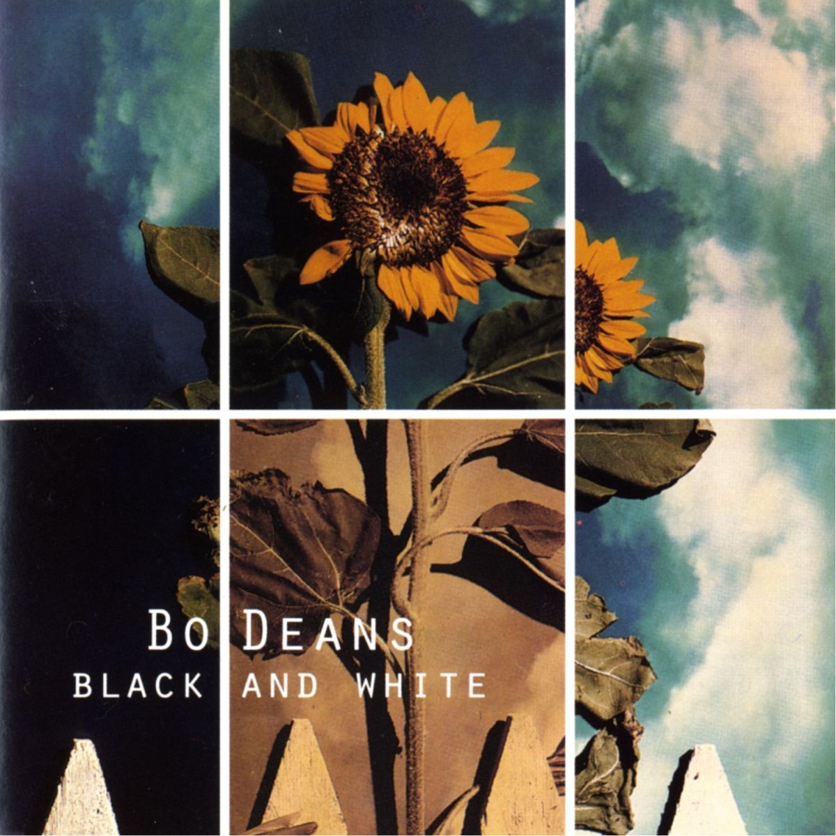 Album cover of Black And White
