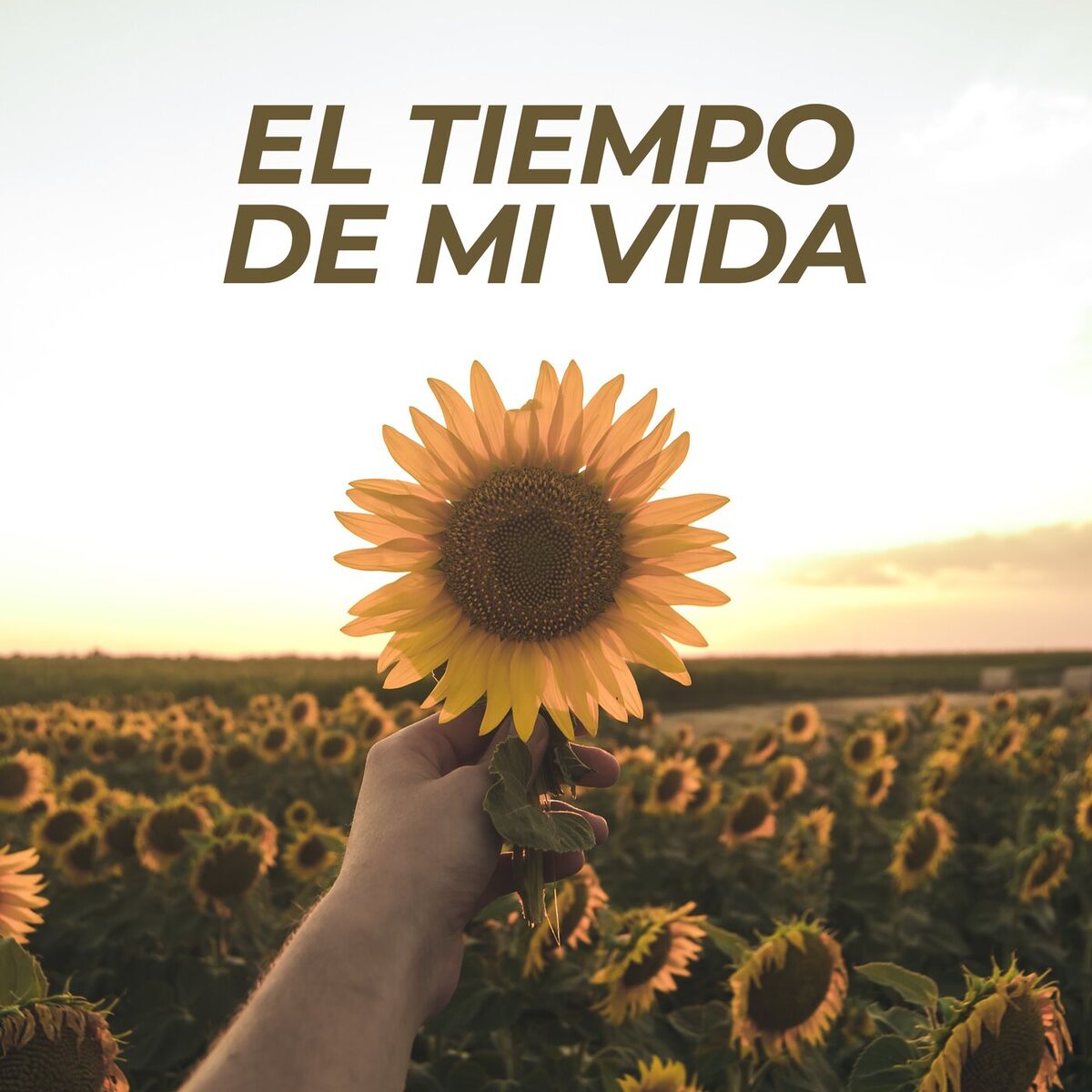 Album cover of El tiempo de mi vida