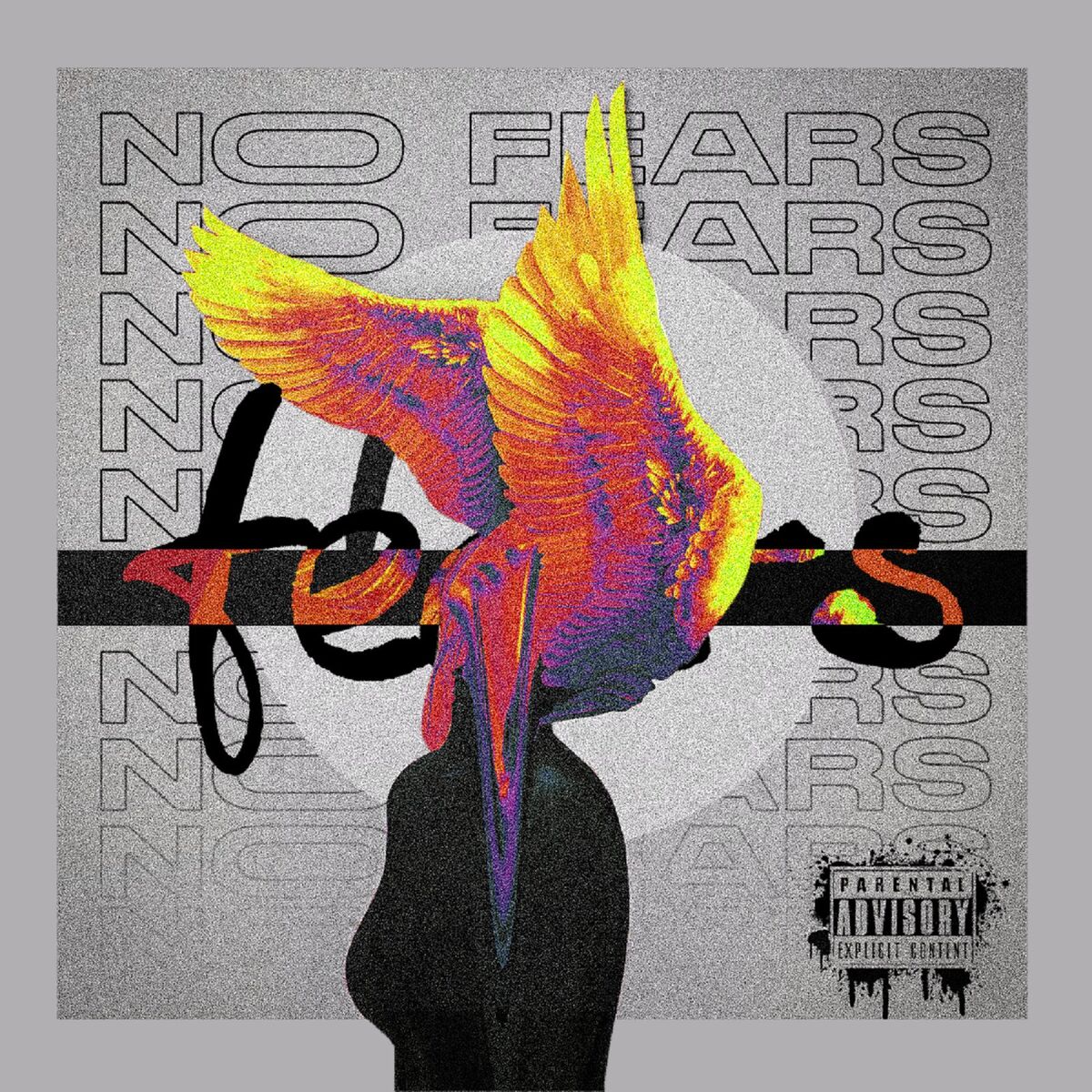 Album cover of No Fears