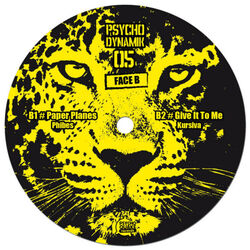 Cover of Psychodynamik 05