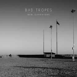 Cover of New Campaigns