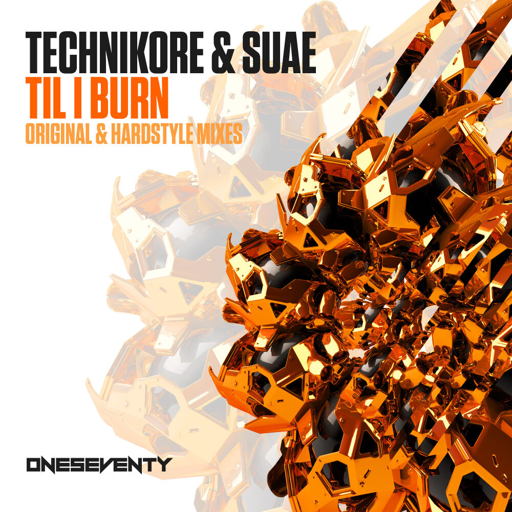 Picture of Til I Burn
