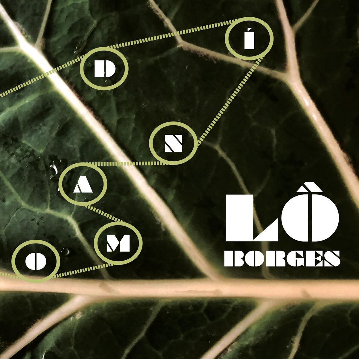 Album cover of Lava do Vesúvio