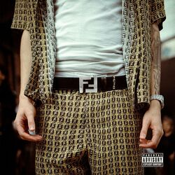 Cover of Fendi belt