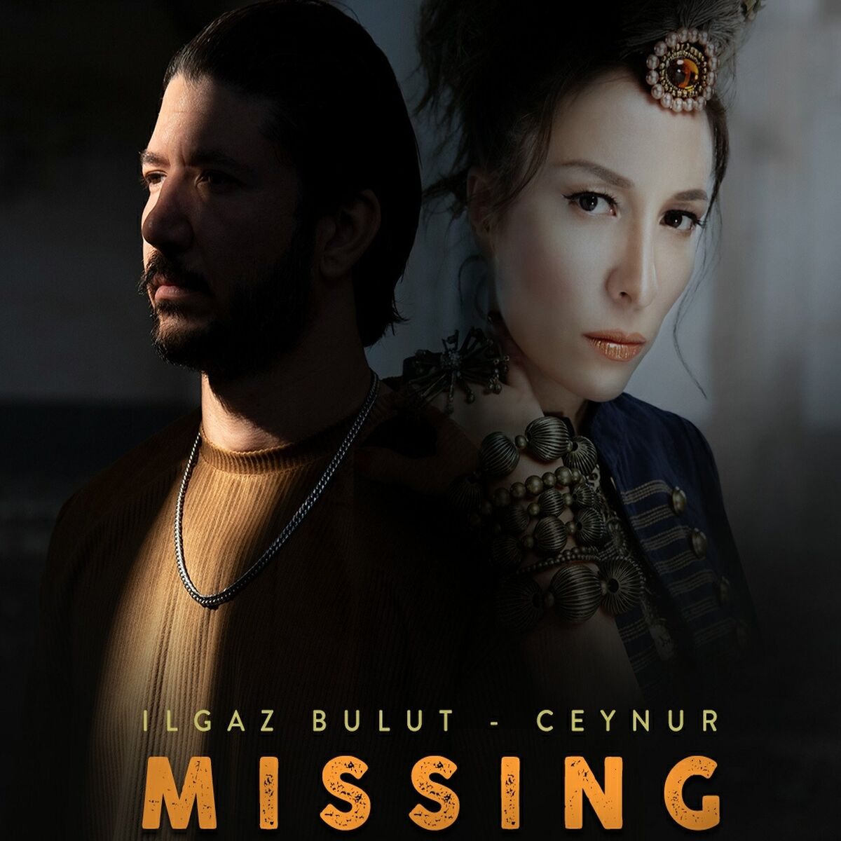 Album cover of Missing