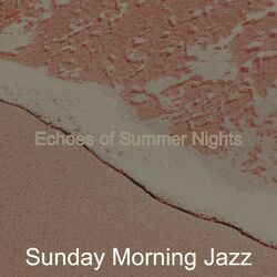 Cover of Echoes of Summer Nights