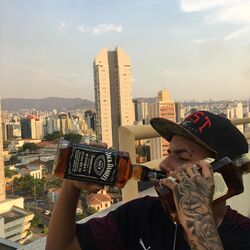 Cover of Bagunçando Seu Barraco
