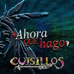 Cover of Ahora Que Hago