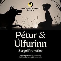 Cover of Pétur og úlfurinn - tónlistarævintýri