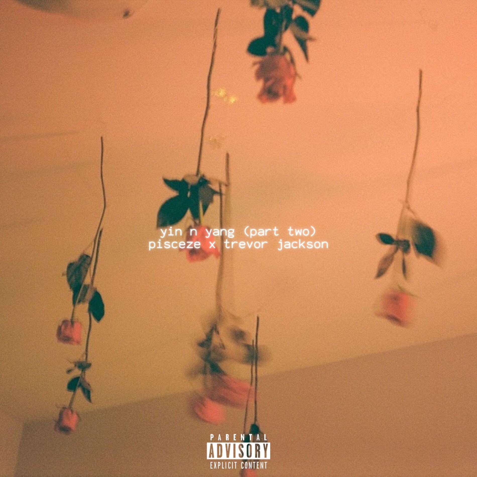 Album cover of yin n yang (feat. Trevor Jackson)