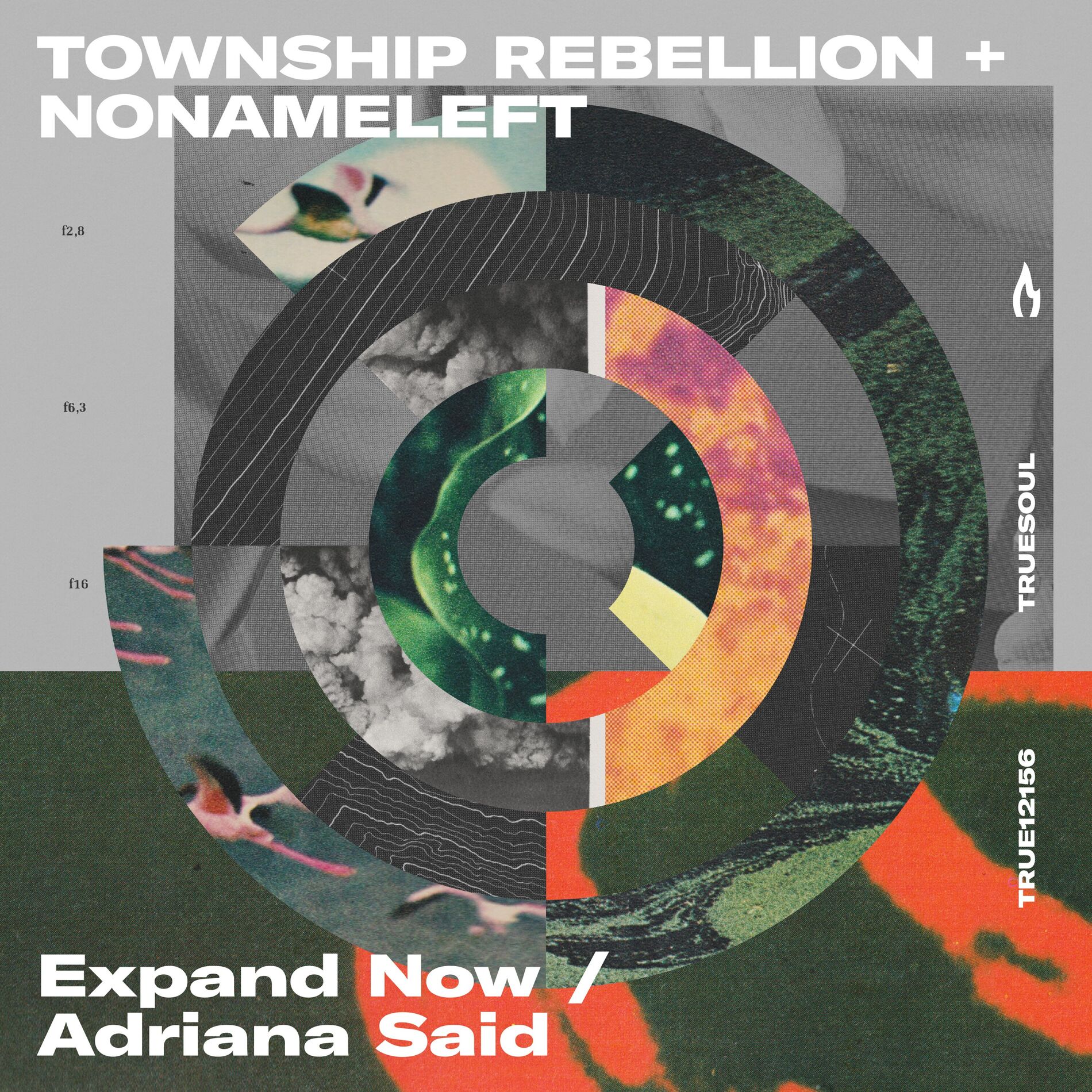 Album cover of Expand Now / Adriana Said