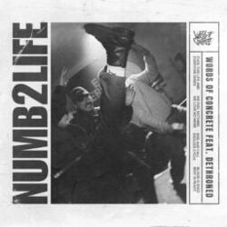 Cover of Numb 2 Life