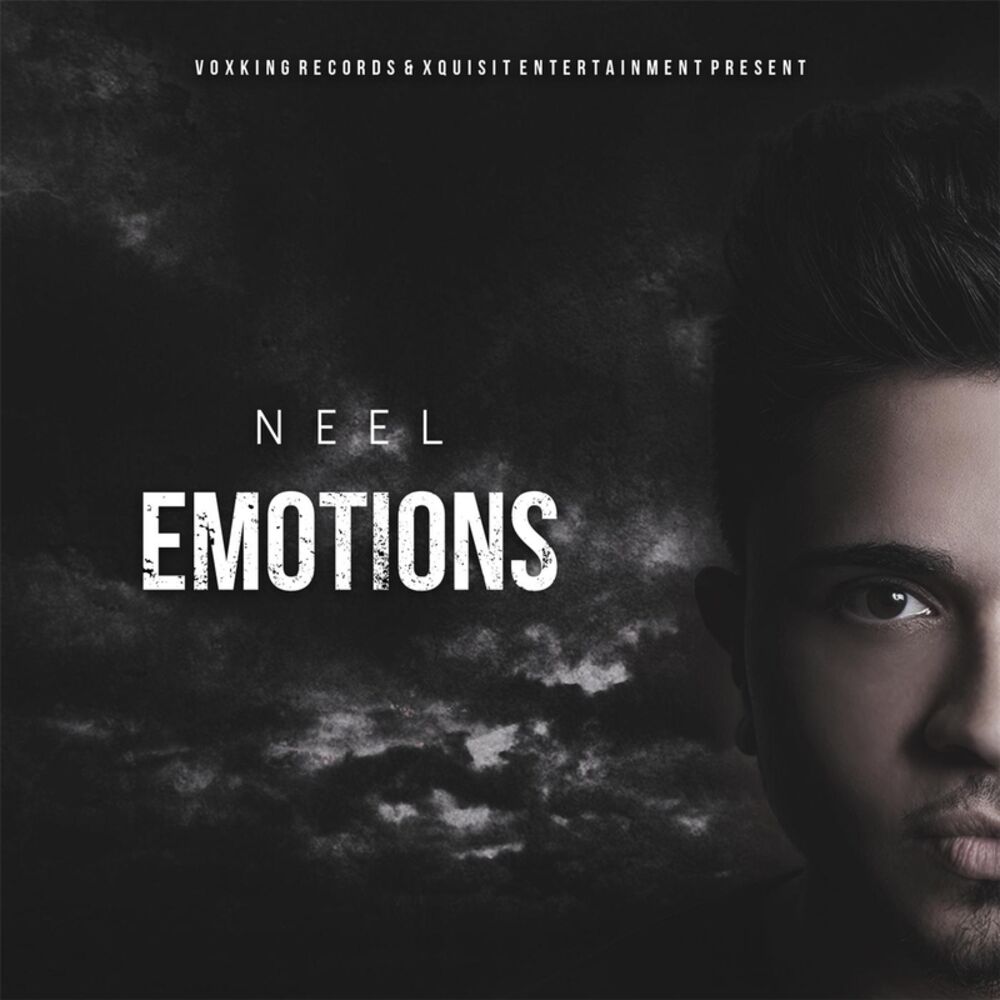 Picture of Emotions
