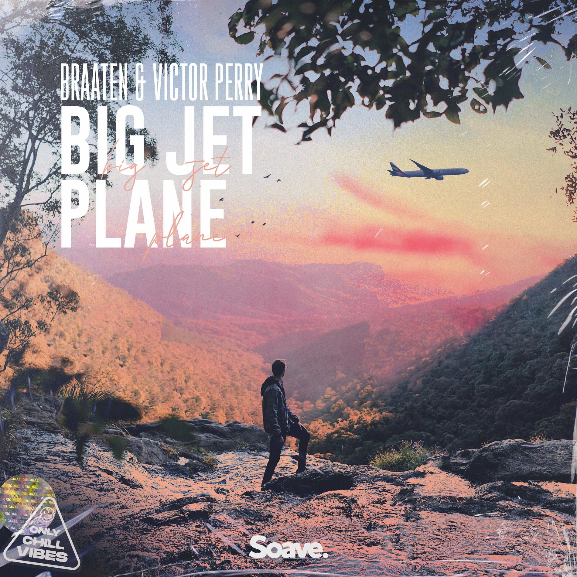 Album cover of Big Jet Plane