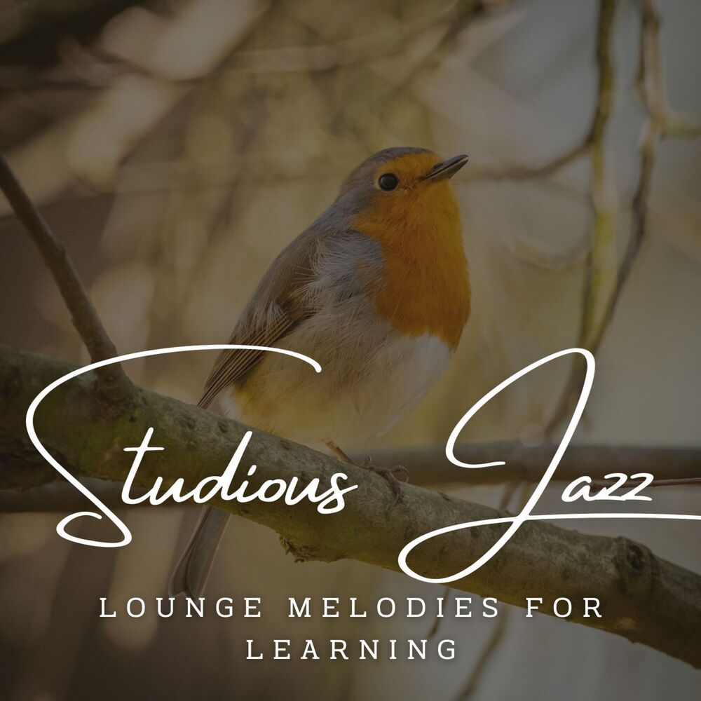 Picture of Studious Jazz Grooves: Coffee Lounge Intellect