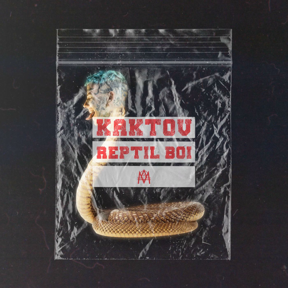 Album cover of Reptil Boi