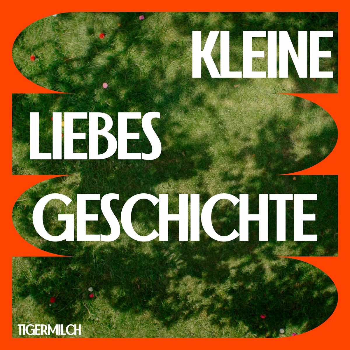 Album cover of Kleine Liebesgeschichte