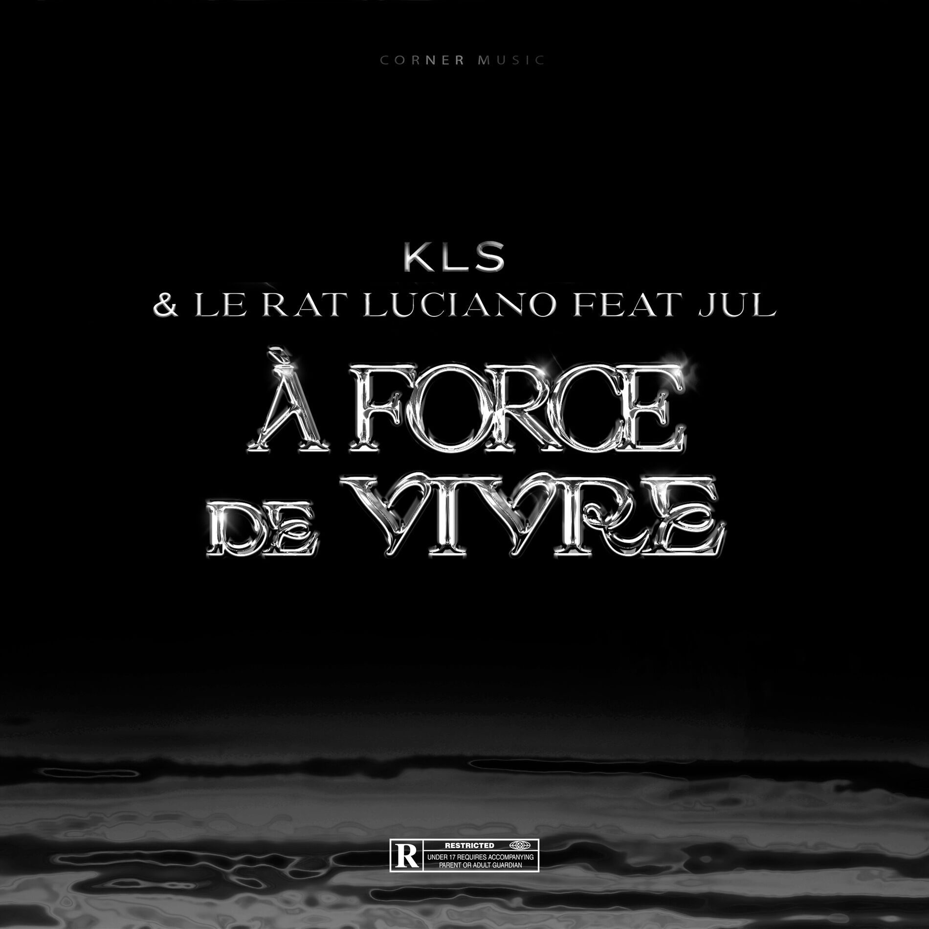 Album cover of À FORCE DE VIVRE