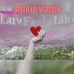 Cover of Luv Feels Like (Speed Up Version)