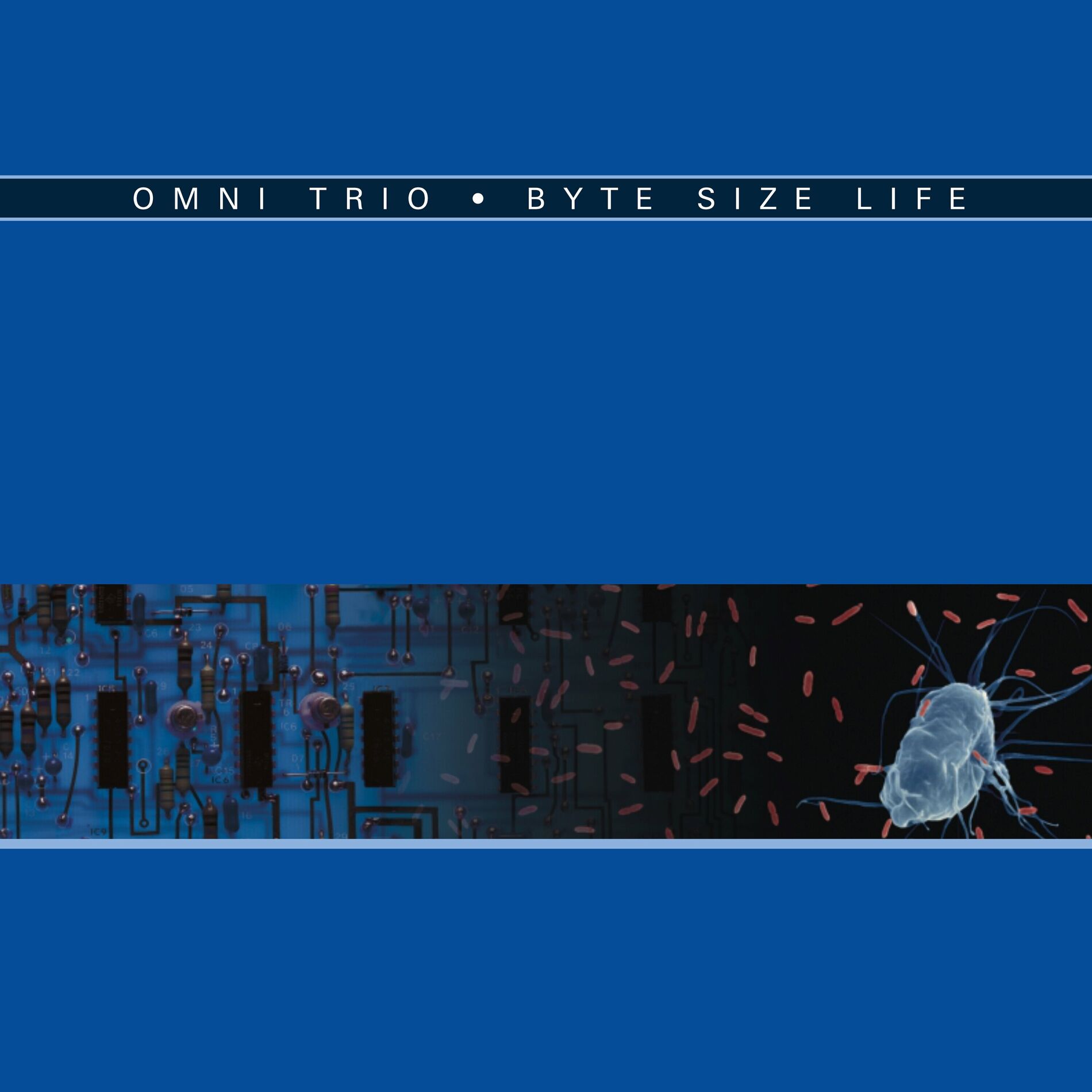 Album cover of Byte Size Life