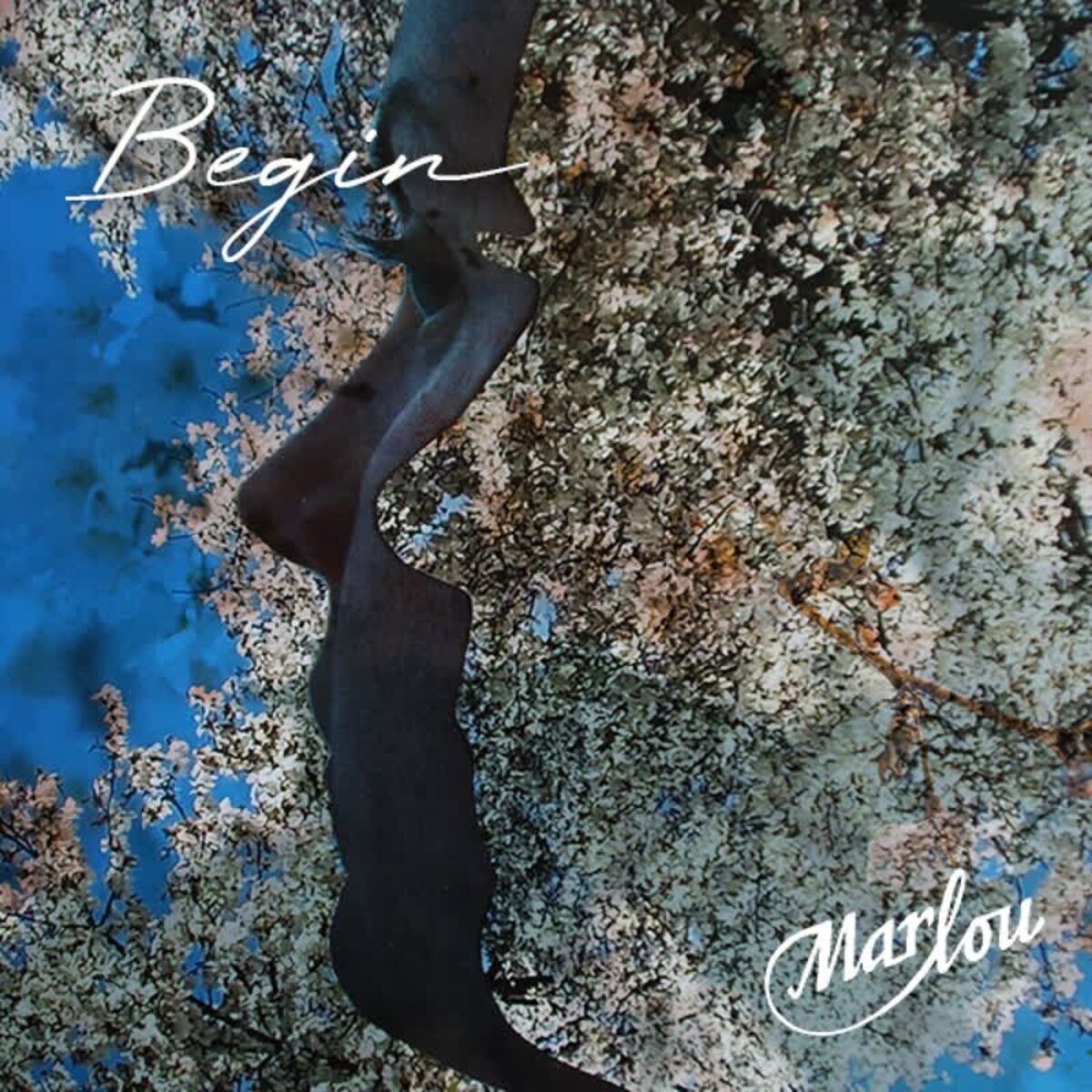 Album cover of Begin