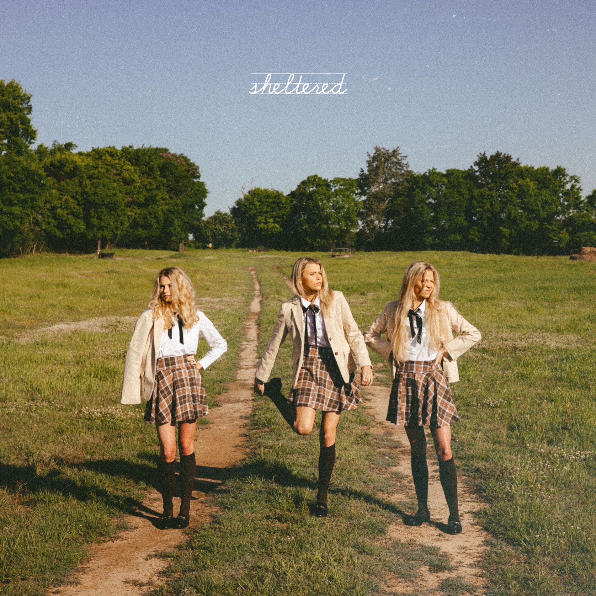 Album cover of Sheltered