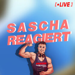 Cover of Sascha Huber reagiert 100k Song