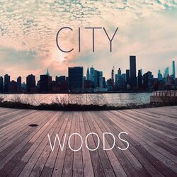 Cover of City Woods