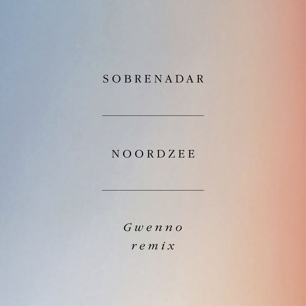 Album cover of Noordzee (Gwenno Remix)