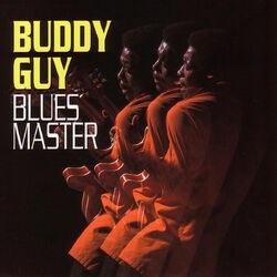 Cover of Blues Master