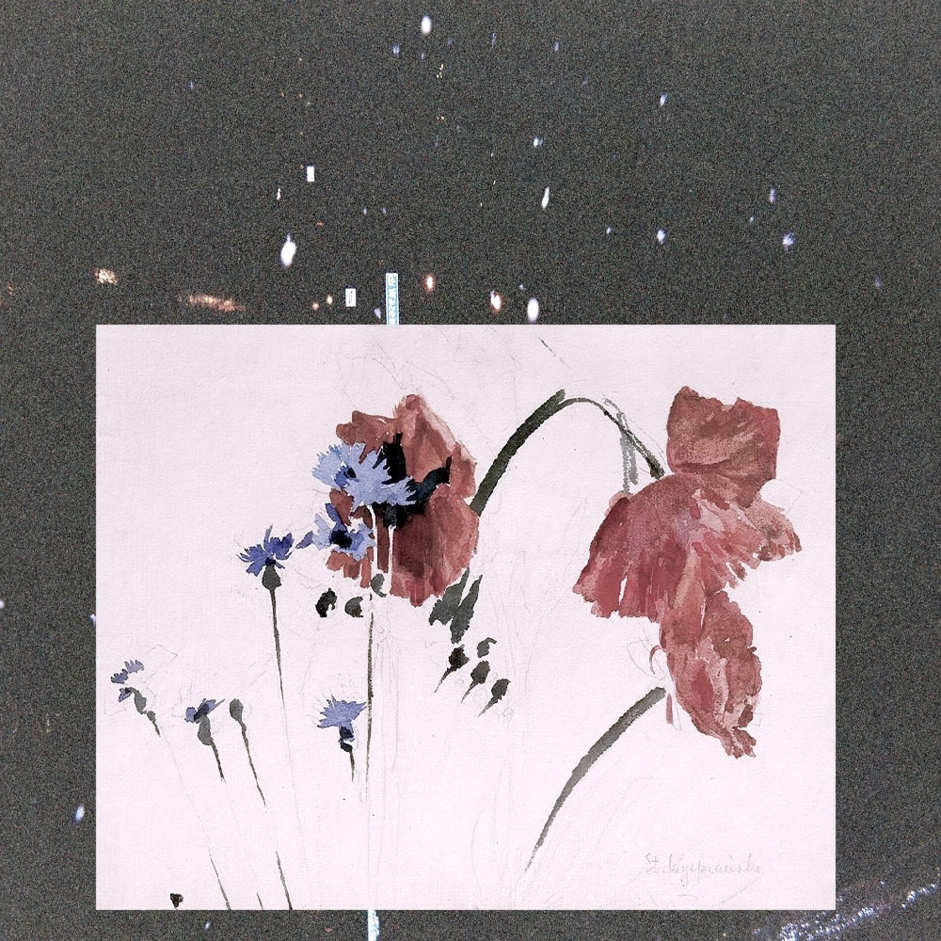 Album cover of Grow