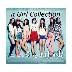 Cover of It Girl Collection