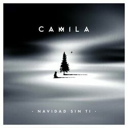 Cover of Navidad Sin Ti