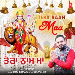 Cover of Tera Naam Maa