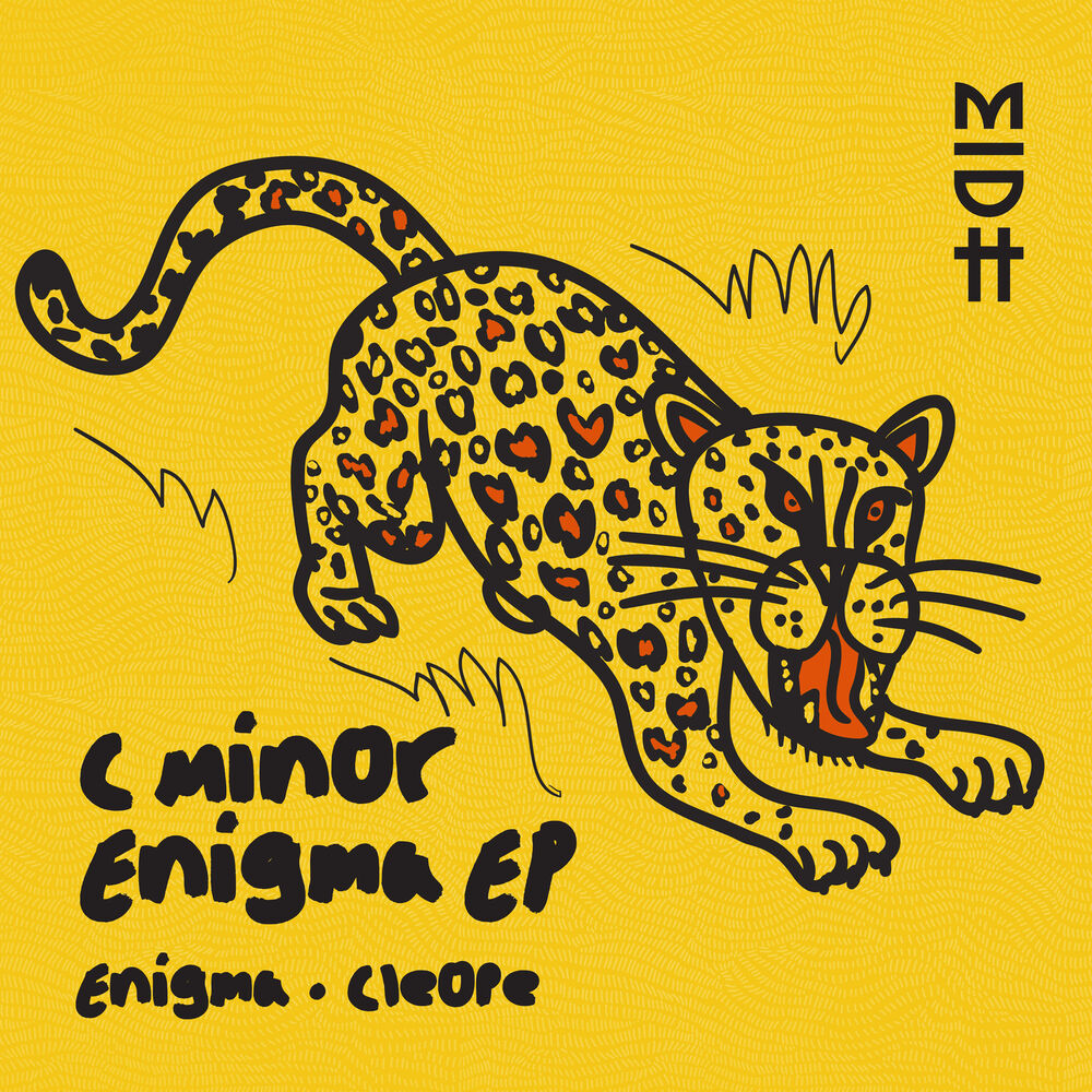 Picture of Enigma