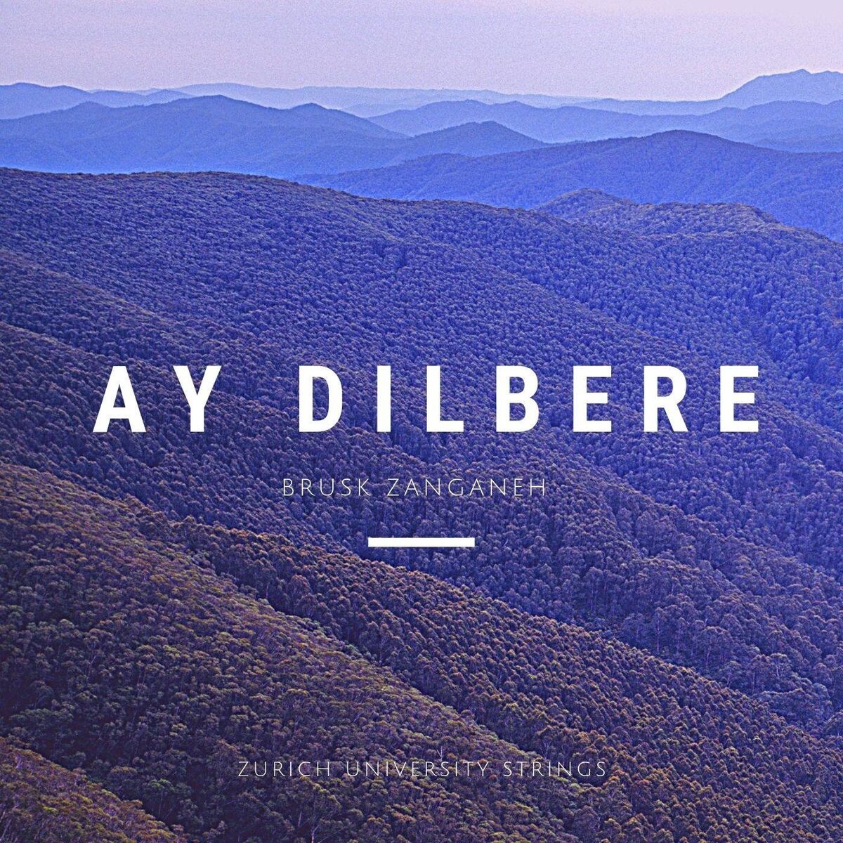 Album cover of Ay Dilbere (Live)